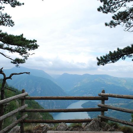 Tarski Dom Zaovine Buitenkant foto