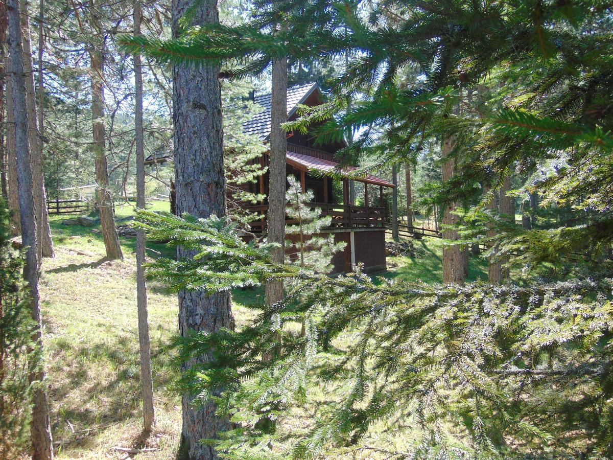 Tarski Dom Zaovine Buitenkant foto