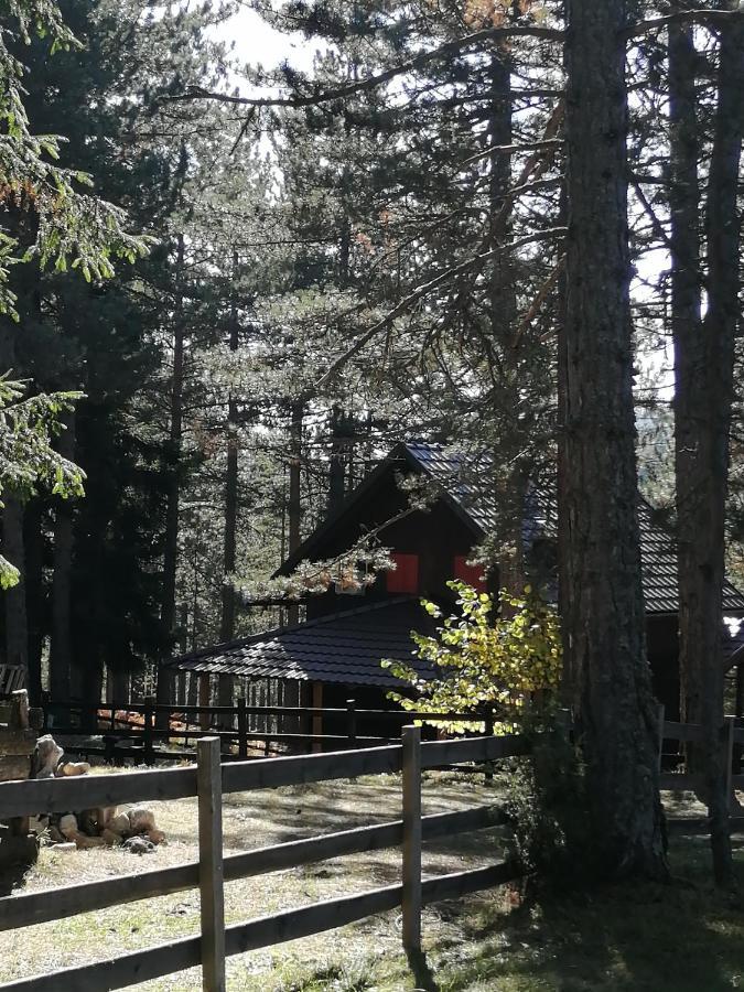 Tarski Dom Zaovine Buitenkant foto