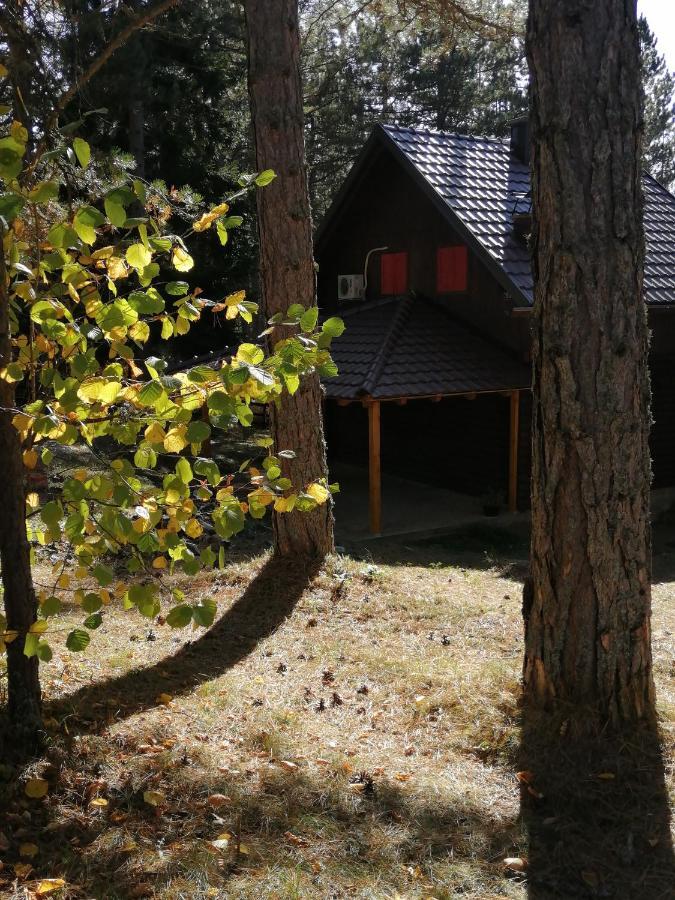 Tarski Dom Zaovine Buitenkant foto